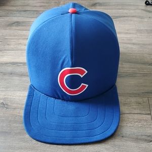 cubs hat dog bed